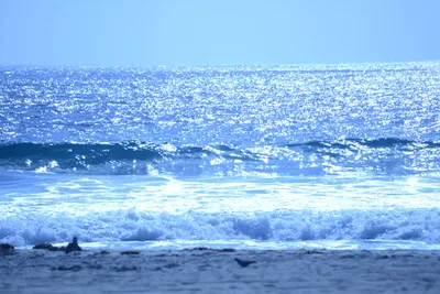 DSC_4994 (Large).JPG